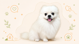 みるくくんと歩む、はじめてのご縁