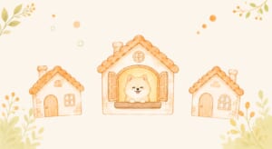 ひとつのご縁と、この1ヶ月のご報告